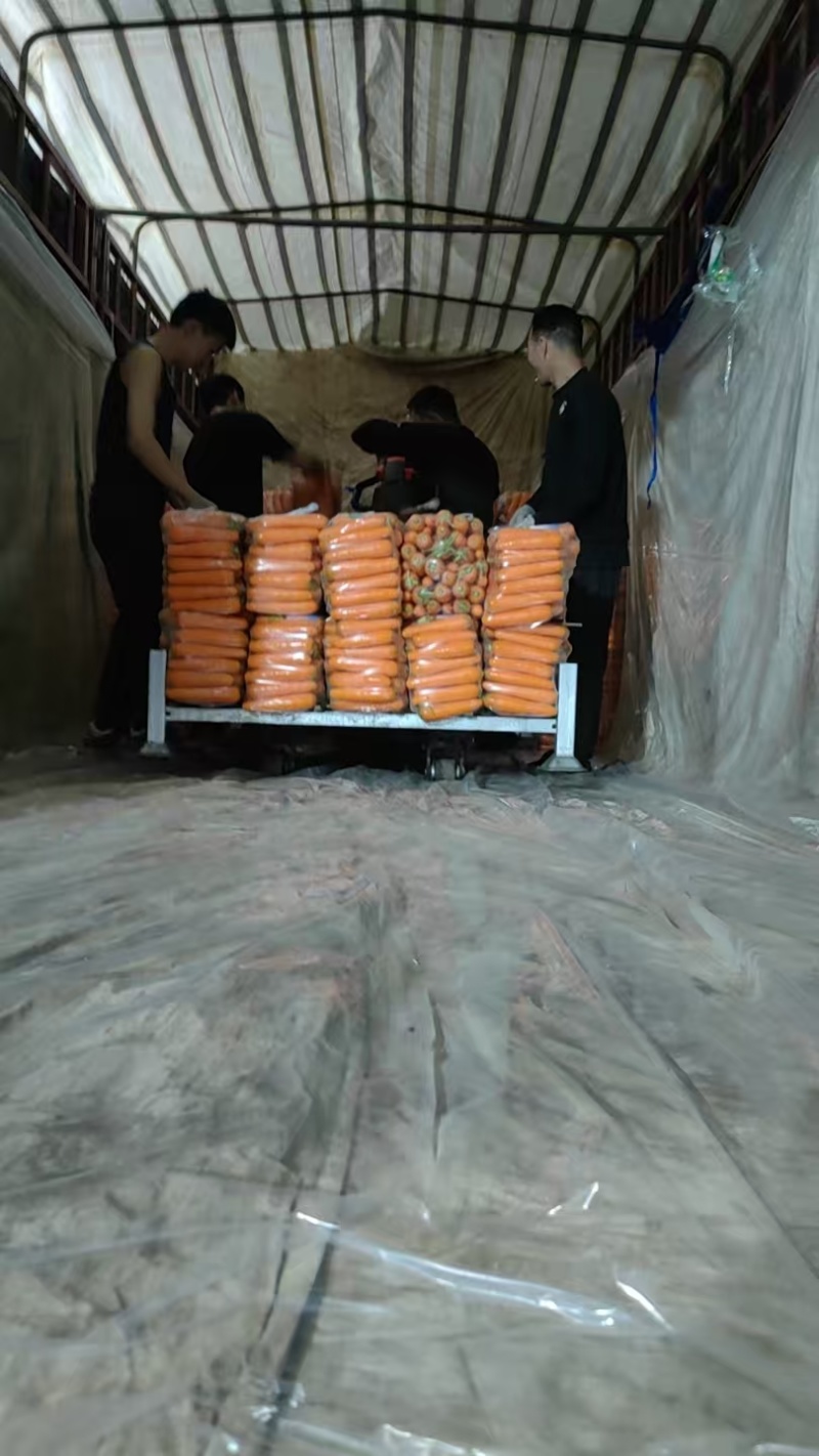 厦门红萝卜大量供应，超市，电商，市场，加工厂，