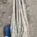 精品佛手山药紫药佛手基地一手货源量大价优可视频