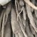 精品佛手山药紫药佛手基地一手货源量大价优可视频