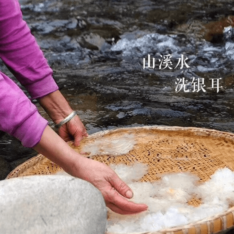 银耳干货随州深山种植椴木银耳养生银耳糯银耳新鲜干货直销