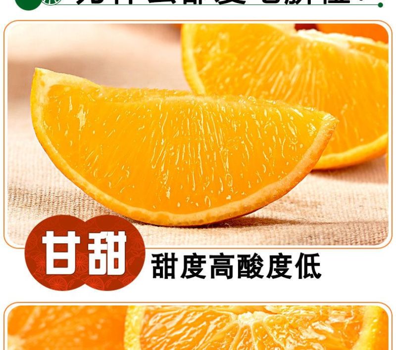湖南纽荷尔脐橙可批发零售，一件代发