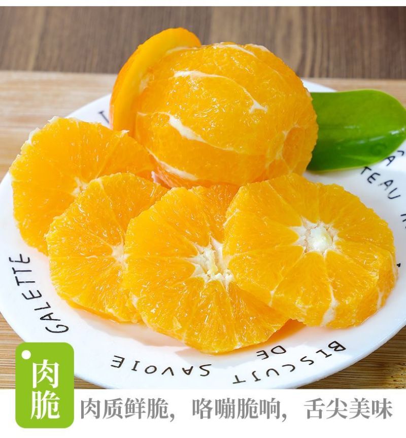 湖南纽荷尔脐橙可批发零售，一件代发