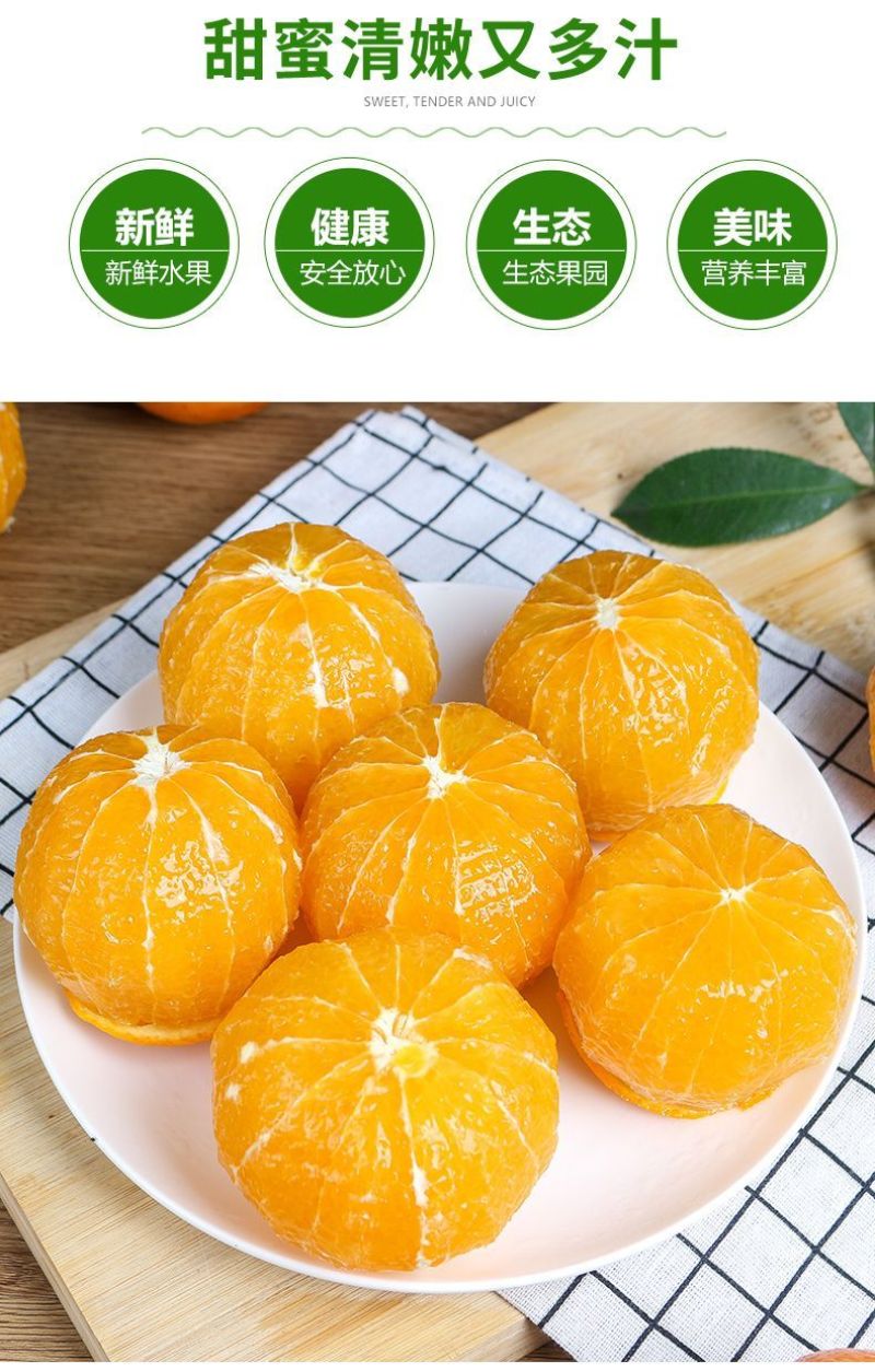湖南纽荷尔脐橙可批发零售，一件代发