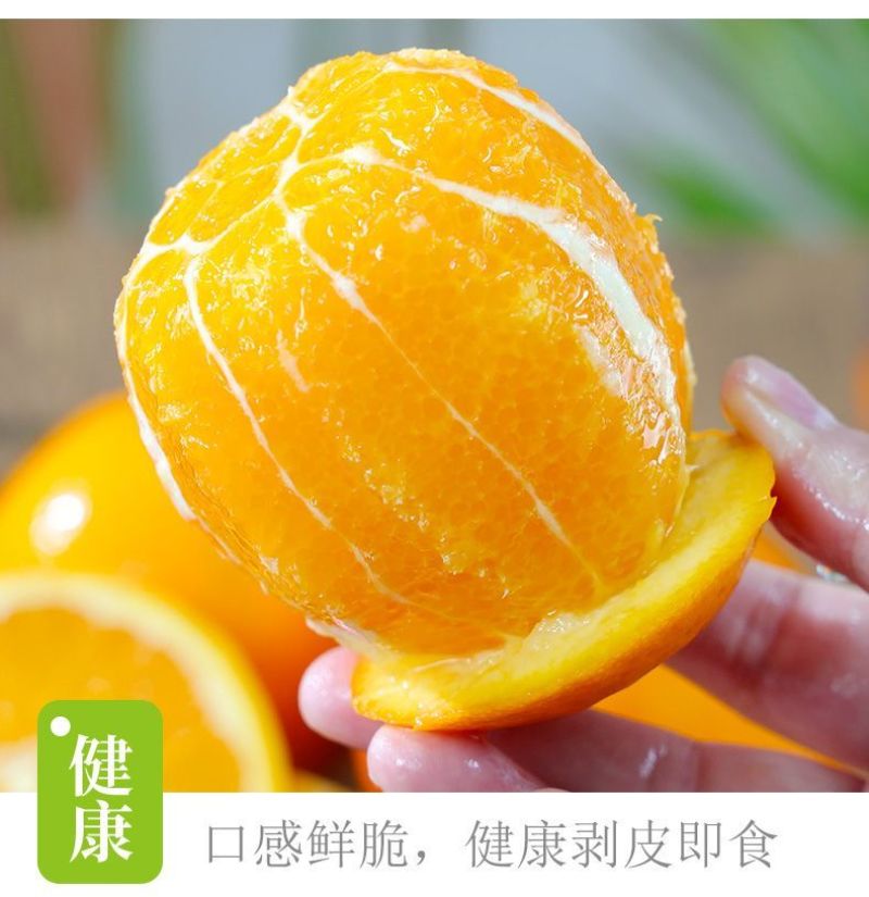 湖南纽荷尔脐橙可批发零售，一件代发
