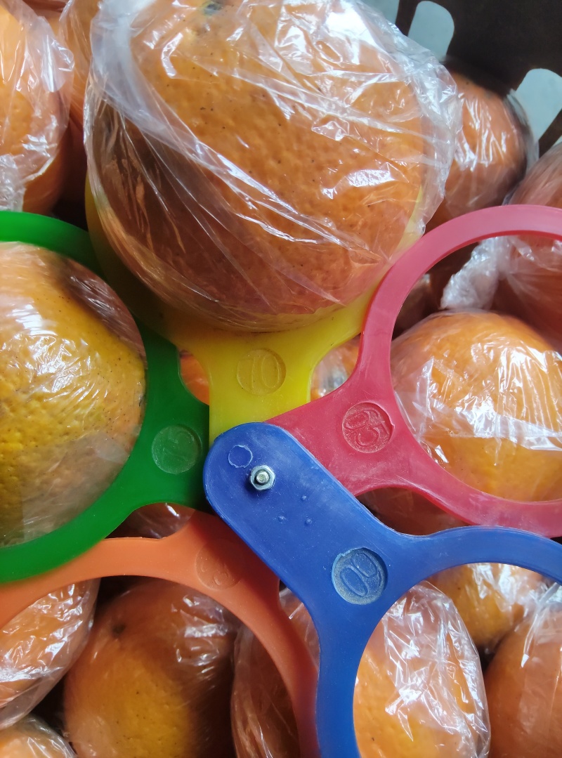 湖南纽荷尔脐橙可批发零售，一件代发