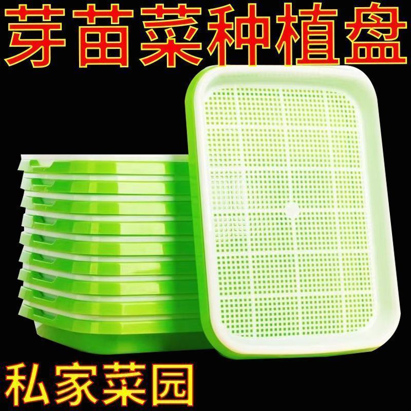 加厚加大】育苗盘盆芽苗菜水培网格豌豆苗豆芽种植盘