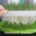 加厚加大】育苗盘盆芽苗菜水培网格豌豆苗豆芽种植盘