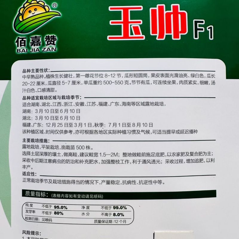 玉帅丝瓜种子短圆筒形白丝瓜种籽节节有瓜口感清甜汤汁白