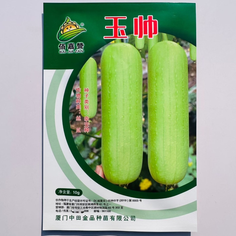玉帅丝瓜种子短圆筒形白丝瓜种籽节节有瓜口感清甜汤汁白
