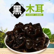 花花菌子黑木耳干货秋木耳肉厚无根火锅凉拌炒菜小碗耳无根黑