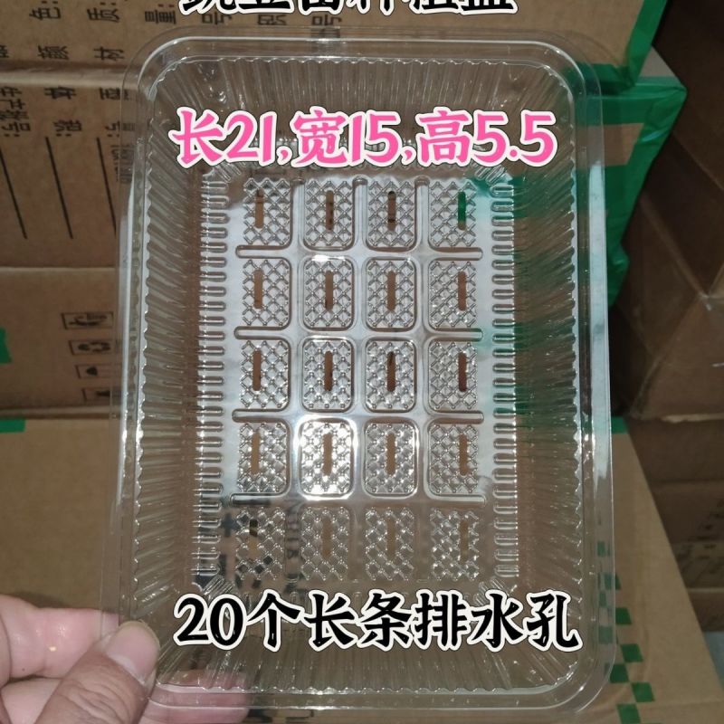 豆芽豆苗芽苗菜豌豆苗一次性塑料活体种植包装盒底部有排水孔