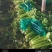 精品西芹产地直供毛菜净菜商超食堂餐饮批发量大从优