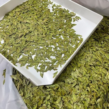 明前龙井茶