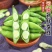 云南新鲜蚕豆市场电商都可以供货