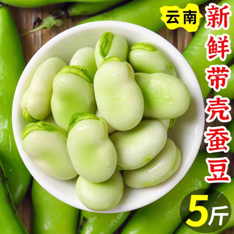 云南新鲜蚕豆市场电商都可以供货
