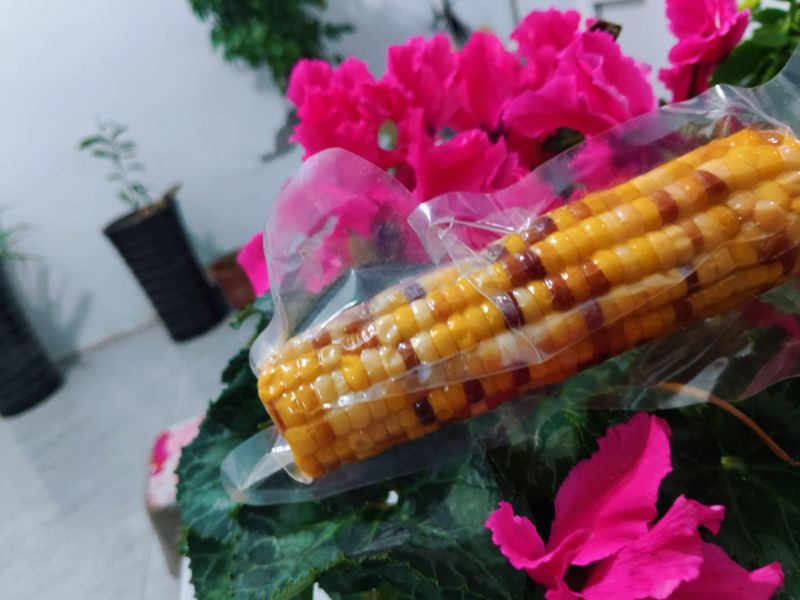 全品类鲜食玉米，厂家发货，自产自销，支持一件代发