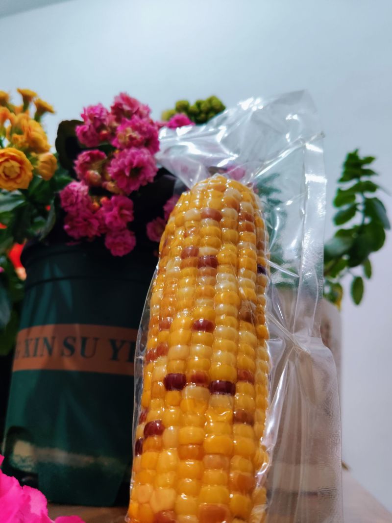 全品类鲜食玉米，厂家发货，自产自销，支持一件代发