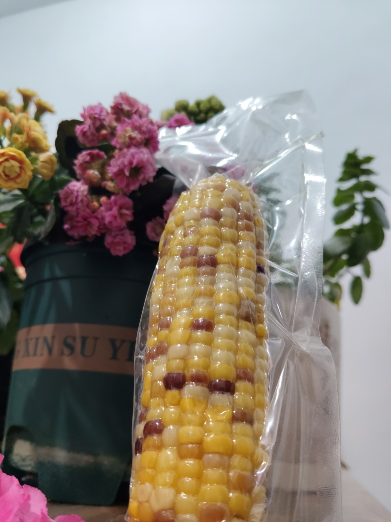 全品类鲜食玉米，厂家发货，自产自销，支持一件代发