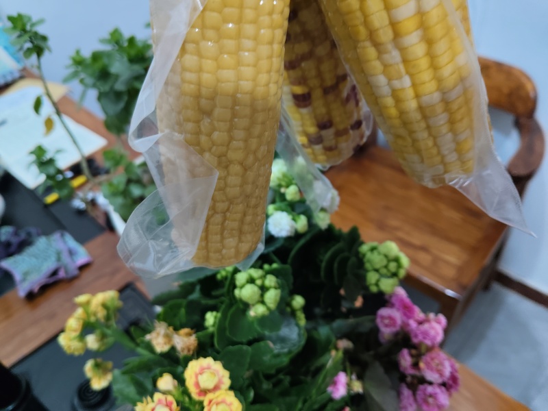 全品类鲜食玉米，厂家发货，自产自销，支持一件代发