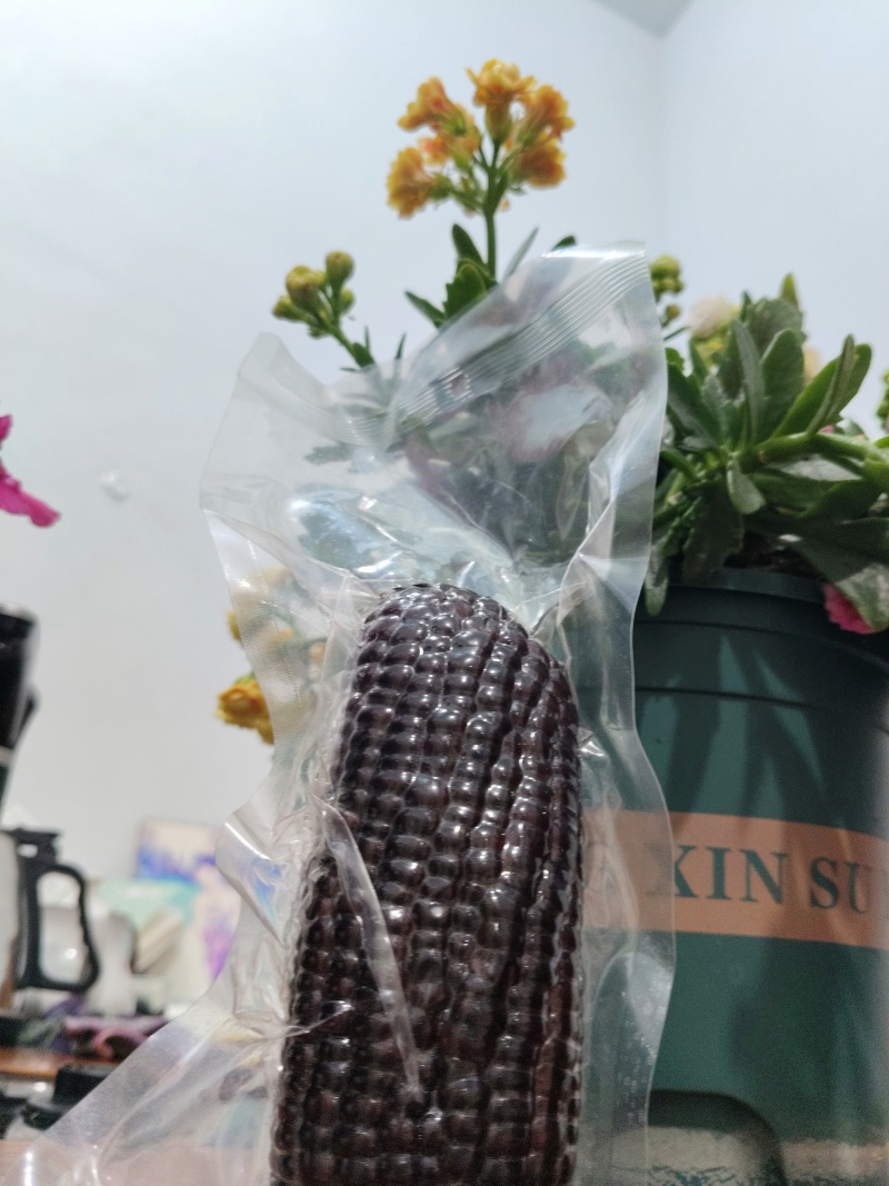 全品类鲜食玉米，厂家发货，自产自销，支持一件代发
