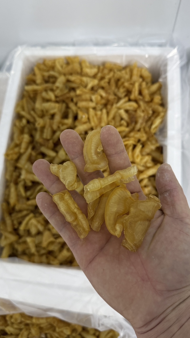 凤尾胶规格齐全厂家直销资质齐全可定做