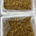 凤尾胶规格齐全厂家直销资质齐全可定做