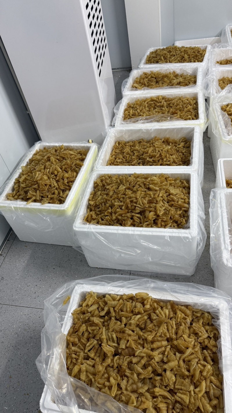 凤尾胶规格齐全厂家直销资质齐全可定做