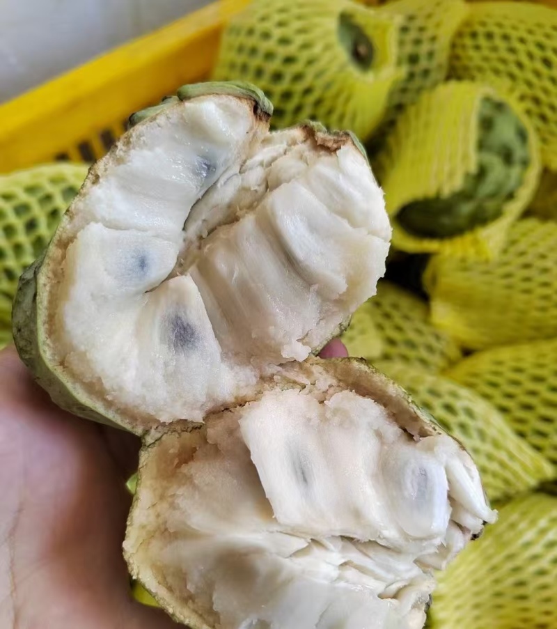 凤梨释迦果