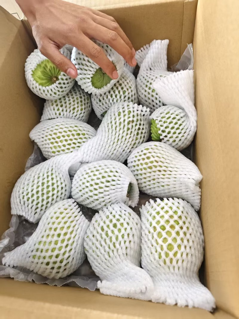 凤梨释迦果