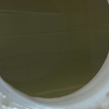 澳洲茶树油