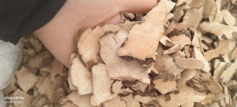 《土茯苓》粉质红土茯苓无硫磺干净无杂质
