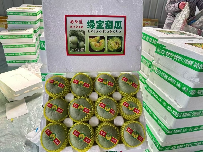 绿宝甜瓜产地直供货源充足，一手货基地实力代收