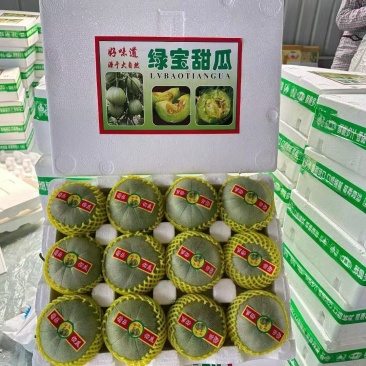 绿宝甜瓜产地直供货源充足，一手货基地实力代收