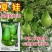 耐热夏娃瓠瓜种子灯泡形蒲瓜种籽瓜皮翠绿圆葫芦瓜种籽春秋