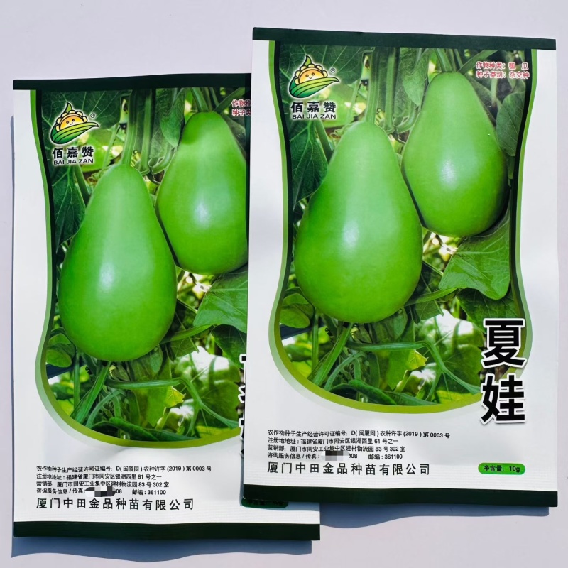 耐热夏娃瓠瓜种子灯泡形蒲瓜种籽瓜皮翠绿圆葫芦瓜种籽春秋