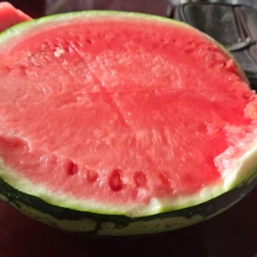 云南产区代办小潘