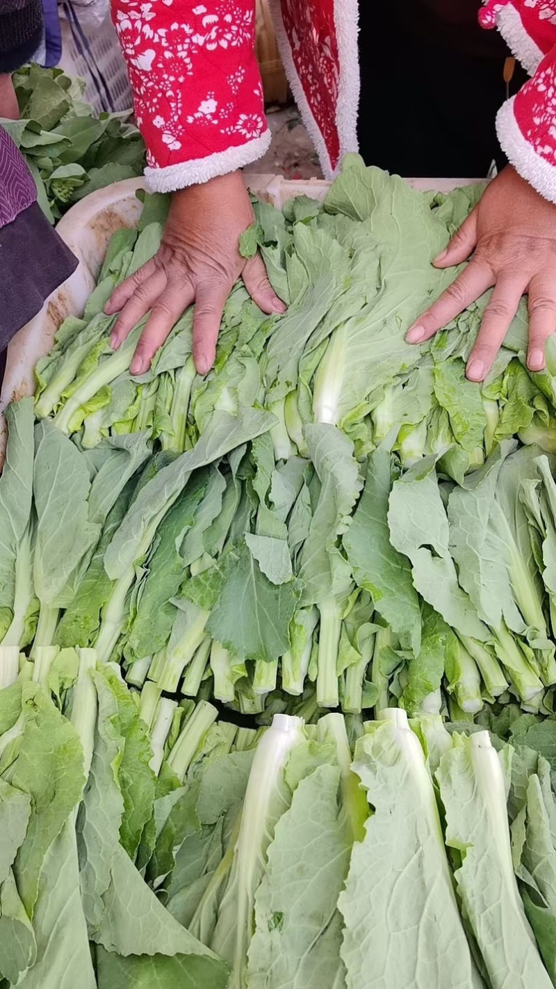 白菜苔，红菜苔