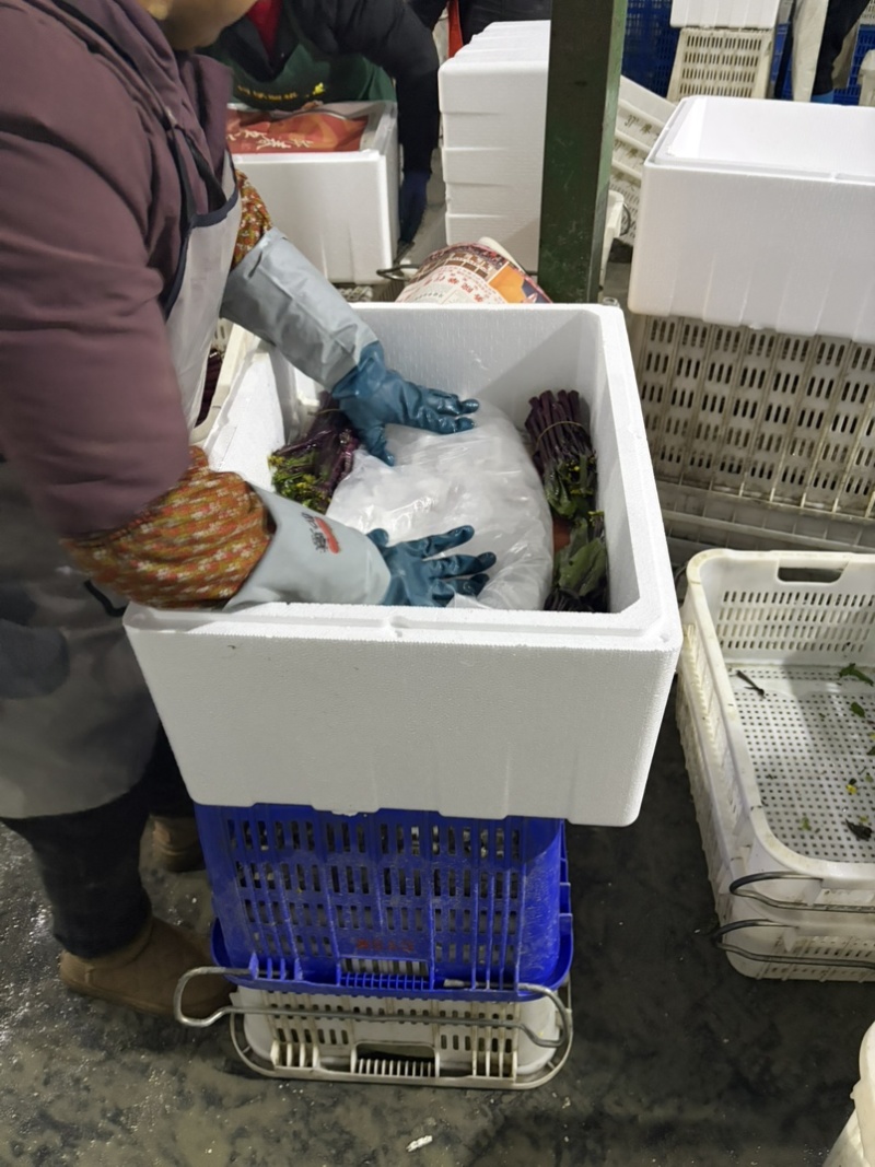 白菜苔，红菜苔