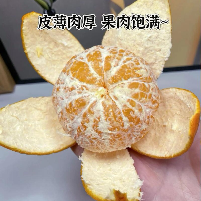 云南沃柑/基地直发【商超电商批发团购】可全国发货