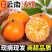 云南沃柑/基地直发【商超电商批发团购】可全国发货