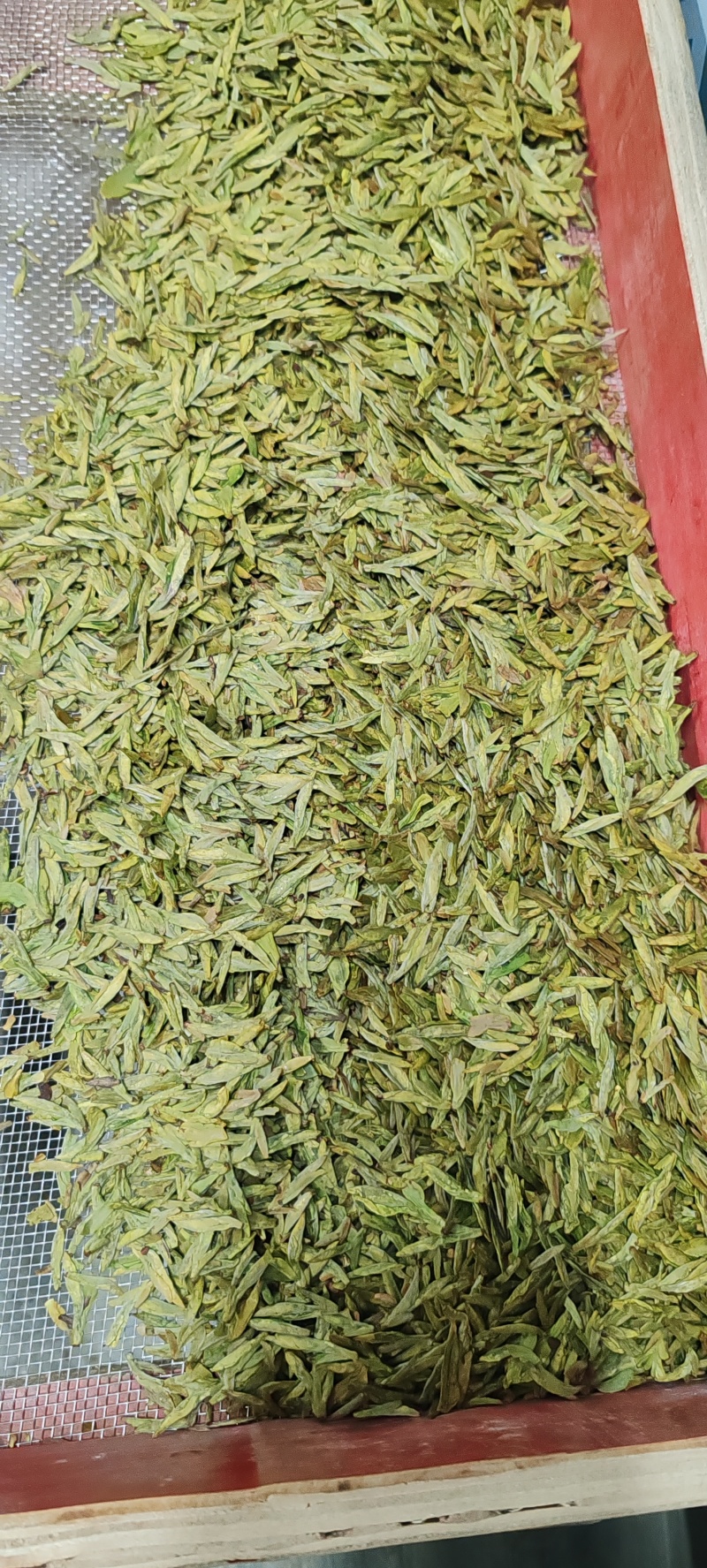 杭州西湖龙井茶