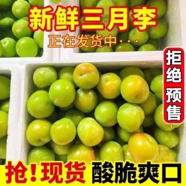 三月李电商市场一件1斤3斤5斤