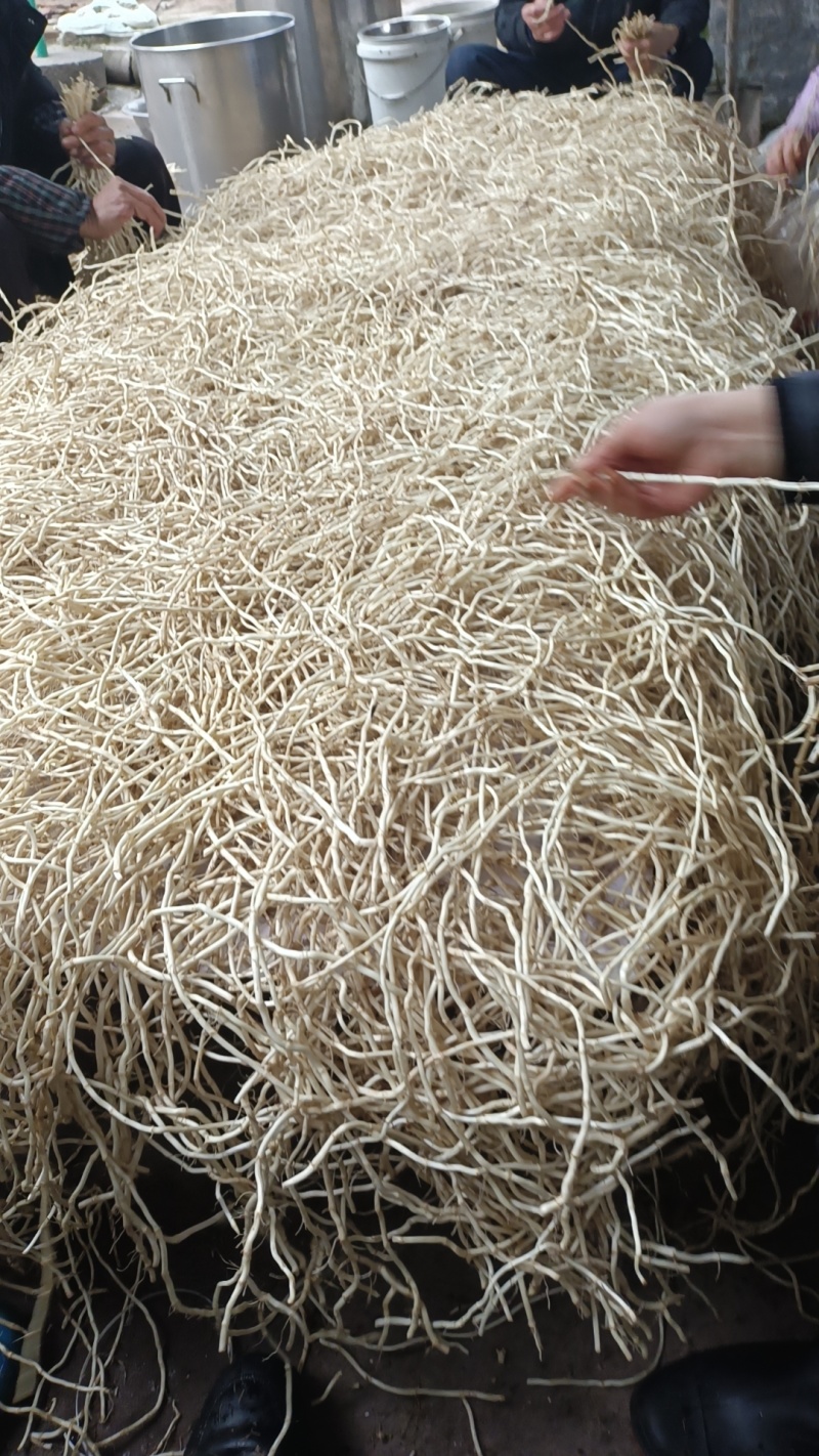 石柱折二根