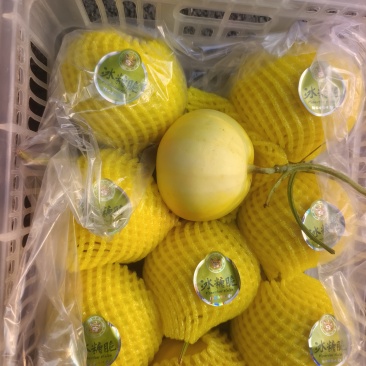 甜瓜