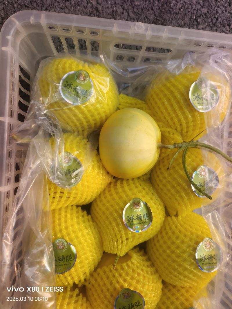 甜瓜
