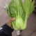 青菜白菜茼蒿生菜香菜