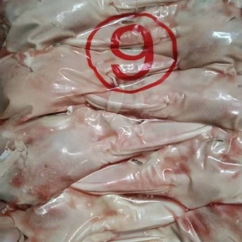 9a鸭头