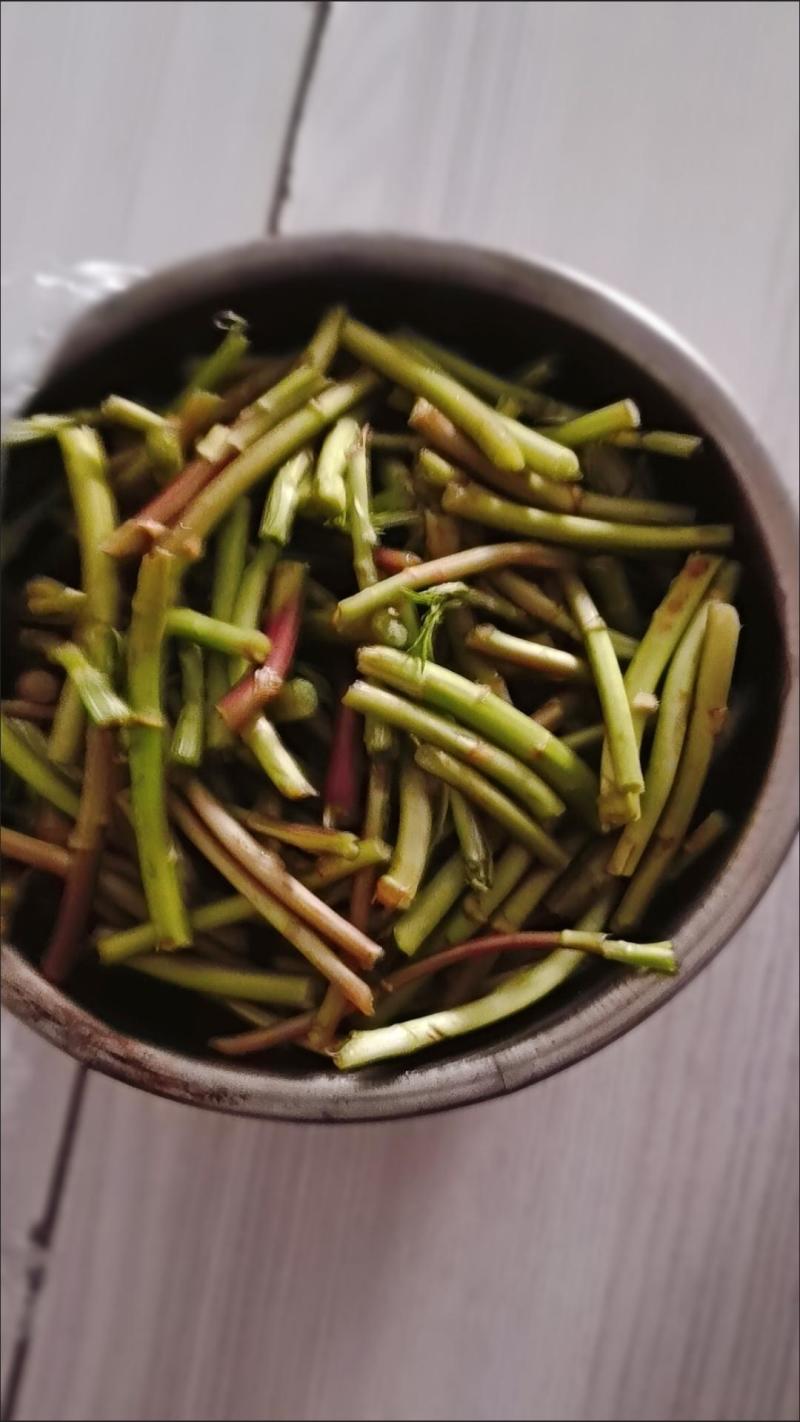 野生藜蒿泥蒿黎蒿非大棚芦蒿腊肉篱蒿蔬菜新鲜当季