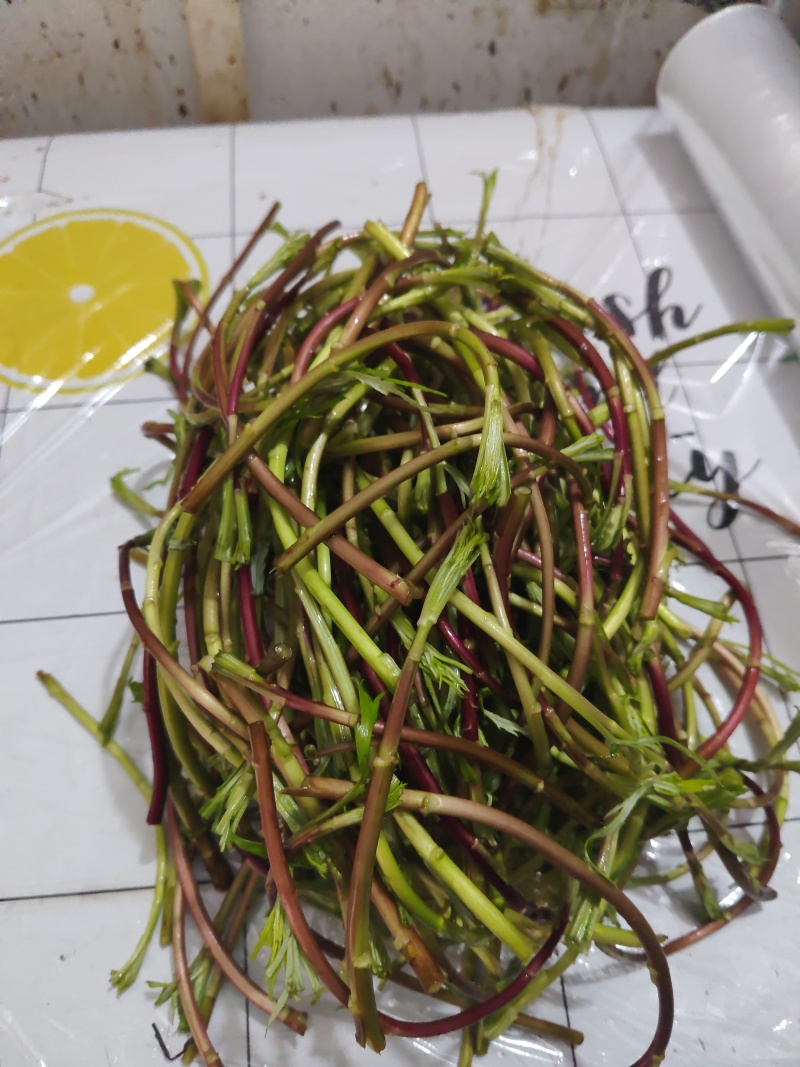 野生藜蒿泥蒿黎蒿非大棚芦蒿腊肉篱蒿蔬菜新鲜当季