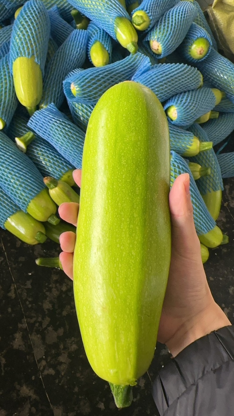 西葫芦